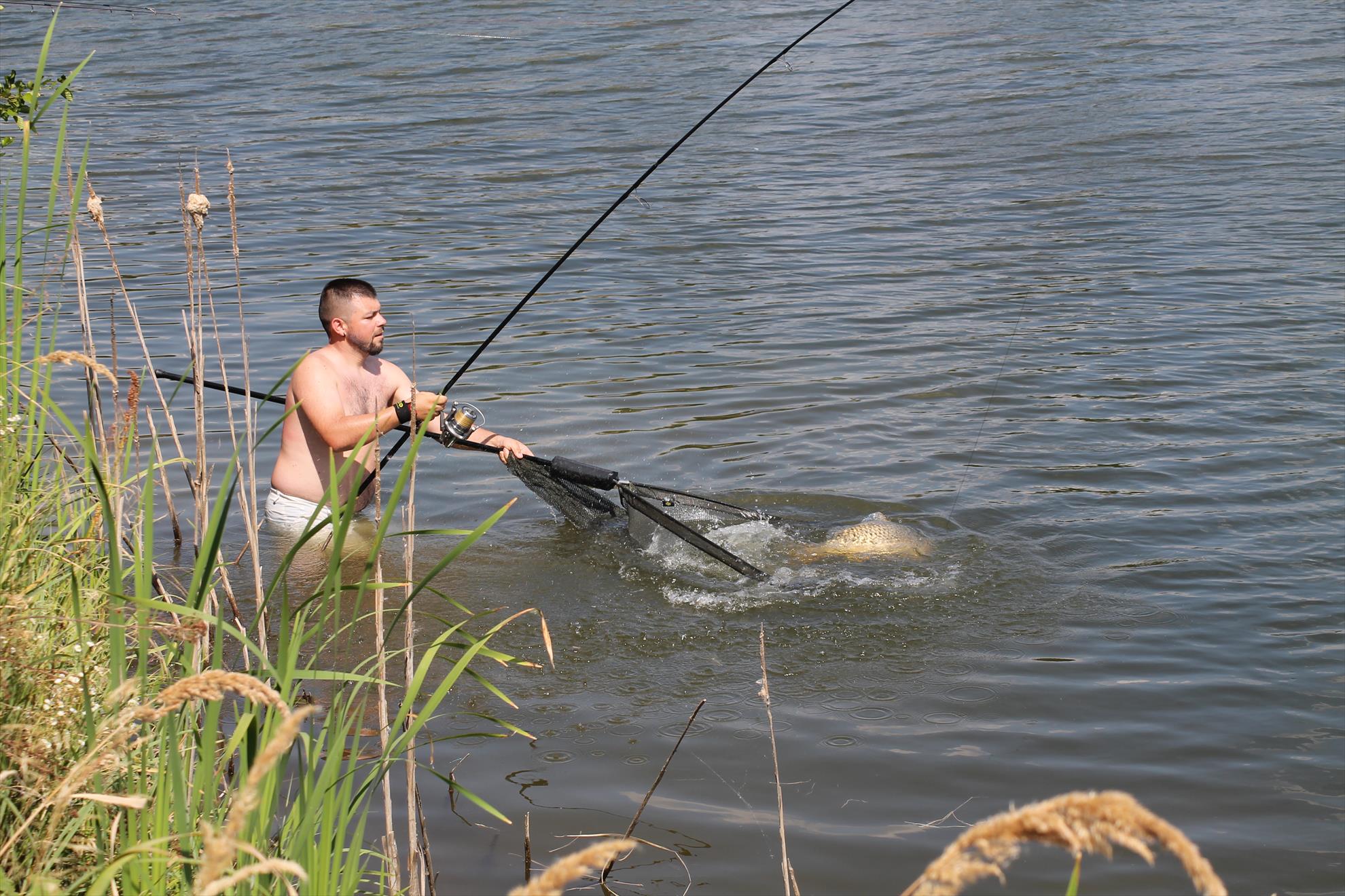 Balastiera Fughiu 29 iul. - 1 aug. - fughiu-106.JPG